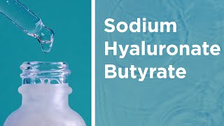 Sodium Hyaluronate Butyrate [upl. by Cindelyn953]