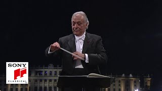 Vienna Philharmonic amp Zubin Mehta  Grieg Morning Mood Summer Night Concert 2015 [upl. by Mays203]