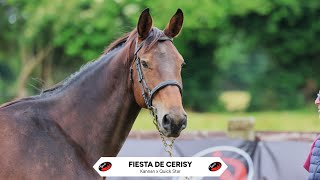 N°22 FIESTA DE CERISY  PAILLOT EQUESTRIAN AUCTION  14 July 2024 [upl. by Idas]