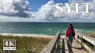 Sylt  Schönster Hundestrand der Insel 🇩🇪 2023 4K walk Wenningstedt Deutschland [upl. by Jopa]