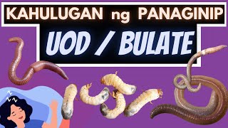 🪱 Kahulugan ng PANAGINIP ng UOD o BULATE  Ano ang IBIG SABIHIN kung nanaginip ng BULATE UOD o WORM [upl. by Attelrak]