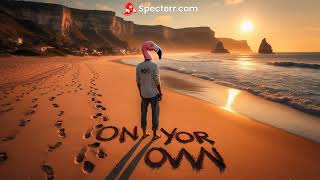 Roho Remixes Shallou On Your Own chillbeats chillmusic chillvibes remix edm djremixsong pop [upl. by Hughie603]