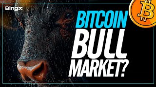 BITCOIN  BULL MARKET [upl. by Antony461]