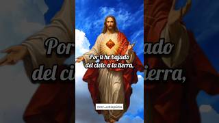 Fuente Diario de Sor Faustina Kowalska  jesus misericordia divinamisericordia [upl. by Harli]