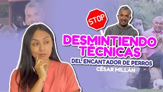 Cesar Millan quotEL ENCANTADOR DE PERROSquot DA LOS PEORES CONSEJOS PARA LOS PERROS  Tataveterinaria [upl. by Nosylla]