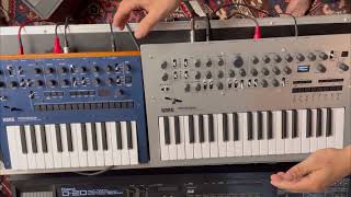 Monologue vs Minilogue  a tale of two korgs Key differences and how they play together kinda [upl. by Sansbury]