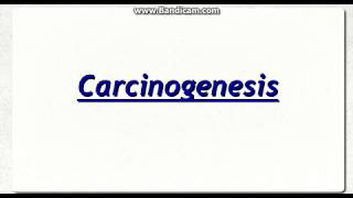 Chemical Carcinogenesis [upl. by Benyamin]