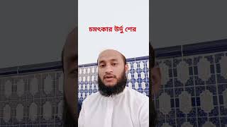 চমৎকার উর্দু শের  islamicvideo allahhuakbarallahhuakbar love duet [upl. by Revlis]