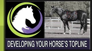 Developing Your Horses Topline The Role of Nutrition [upl. by Ordep589]