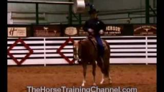 Champion Horse Training Tip Loping In The Sidepull [upl. by Schacker]