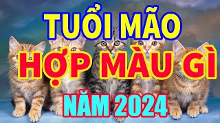 Tuổi Mão Hợp Màu Gì Năm 2024 Mang Lại Tài Lộc May Mắn I tv24h tuoimaohopmaugi2024 tuvi24h [upl. by Anyaled990]