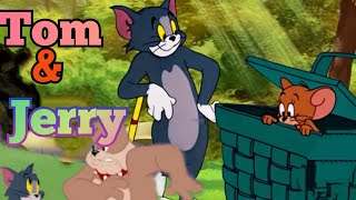 Tom and JerryNew carton 2024bangla tom and jerryTom and jerry carton bangla বাংলা টম এন্ড জেরি।। [upl. by Eceinehs773]