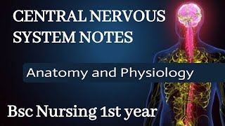 Central Nervous System CNS Explained  Anatomy for BSc Nursing 1st Year Students [upl. by Eednac]