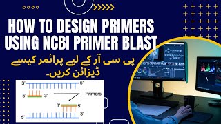 How to design primers for Real Time PCR Using NCBI Primer Blast primerdesigning primer ncbi [upl. by Ybor147]