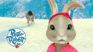 Peter Rabbit  Dangerous Song Special Brand New [upl. by Latyrc507]