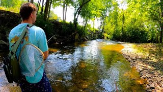 Fall River Trout Fishing in East Tennessee [upl. by Bowlds]