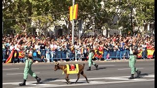 DESFILE FIESTA NACIONAL ESPAÑA  LA LEGION Y REGULARES [upl. by Fogel]