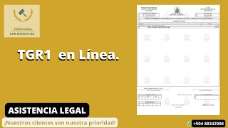 Pasos para solicitar TGR en linea [upl. by Laehpar]