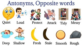 Antonyms In English  Opposite Words  Learn About Opposite Words  Daily Use English vocabulary [upl. by Rebba]