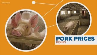 Whats causing the pork shortage [upl. by Rofotsirk640]