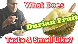 What Does Durian Taste amp Smell Like Find Out Here [upl. by Kerin531]