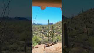 Saguaro National Park 26 highlight [upl. by Saddler811]