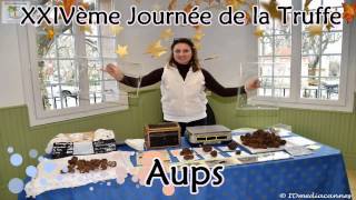 XXIVème Journée de la Truffe  Aups [upl. by Moretta]