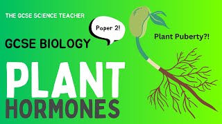 GCSE Biology Plant Hormones AQA OCR Edexcel [upl. by Ahserkal495]