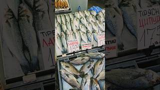 Рибен пазар в град Варна 2024г месец октомври fishing fish варна food bulgaria [upl. by Nerro787]