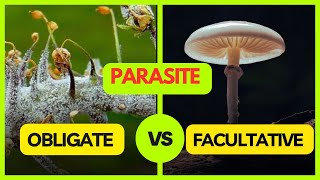 Obligate Parasite  Facultative Parasite  Facultative Saprophyte  Plant Pathology [upl. by Frendel932]