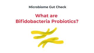 Bifidobacteria Probiotics Explained [upl. by Irak]