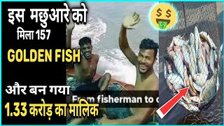 Common Fisherman Got 157 Ghol Fish  Palghar Fisherman Shorts [upl. by Lorna326]