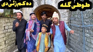 Tuti Gulla Da Kam Za De New Funny Video 2024 by Tuti Gull Official [upl. by Lonni759]