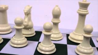 Premier Tournament Chess Set Combo from Wholesale Chess [upl. by Eimmas488]