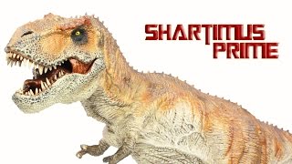 Rebor King TRex Tyrannosaurus Rex 135 Scale Museum Replica Statue Review [upl. by Prevot]