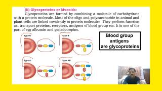 Chapter 1  Biological molecules  part 28  Conjugated molecules sindhtextboard [upl. by Adirem]