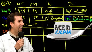 Liver Diseases Explained Clearly Acute vs Chronic Hepatic Diseases [upl. by Anelram293]