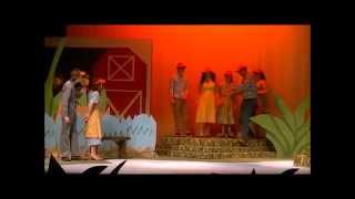 Honk Spring Musical Althoff Catholic High School 2015 [upl. by Enieledam]