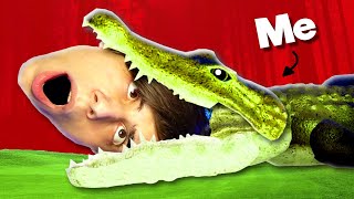 The Roblox Crocodile Experience [upl. by Minardi]