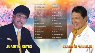 Juanito Reyes y Claudio Vallejo Mano a Mano Grandes Pasillos  Mix Pasillos Del Recuerdo [upl. by Magree55]