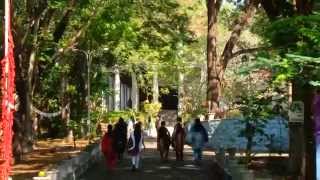 Govt College for Women Thiruvananthapuram [upl. by Mulloy]