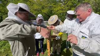 Binder unterhält Der Schwarm geht ab  Jupp  imker beelife bienen imkerei imkern [upl. by Cilo]