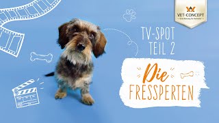 TV Spot 2023  Die Fressperten 2  VetConcept [upl. by Hardin]