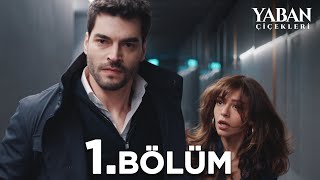 Yaban Çiçekleri 1 Bölüm atvturkiye [upl. by Wager963]