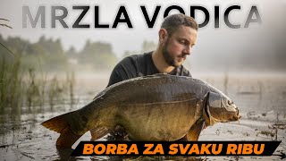 Šaranski ribolov u carstvu trave  MRZLA VODICA [upl. by Pascasia]