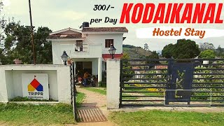 Trippr Backpacker Hostel  Kodaikanal  Munpani Media [upl. by Aerdnod]