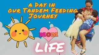 A day in Our Tandem Feeding Journey [upl. by Sidwel]