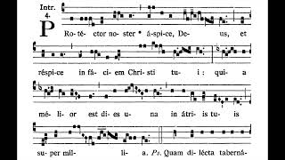 14th Sunday after Pentecost INTROIT Protéctor noster solfeggio [upl. by Marcia]