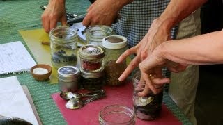 Canning Sardines at Home A Guide to Preserving the Seas Bounty [upl. by Lazes]