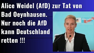 Dr Alice Weidel zur Tat von Bad Oeynhausen [upl. by Harilda611]